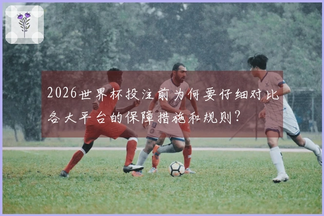 2026世界杯投注前为何要仔细对比各大平台的保障措施和规则？