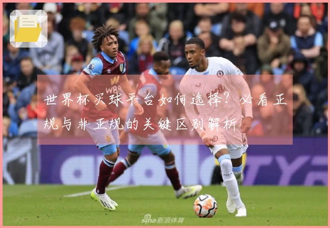 世界杯买球平台如何选择？必看正规与非正规的关键区别解析
