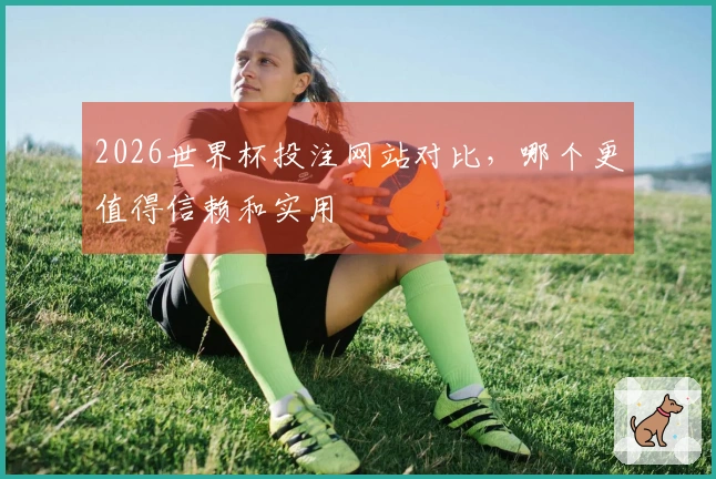 2026世界杯投注网站对比，哪个更值得信赖和实用
